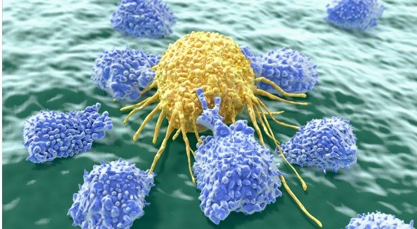 Natural Killer Cells: How to Keep Them Healthy So They Can Protect You From Cancer