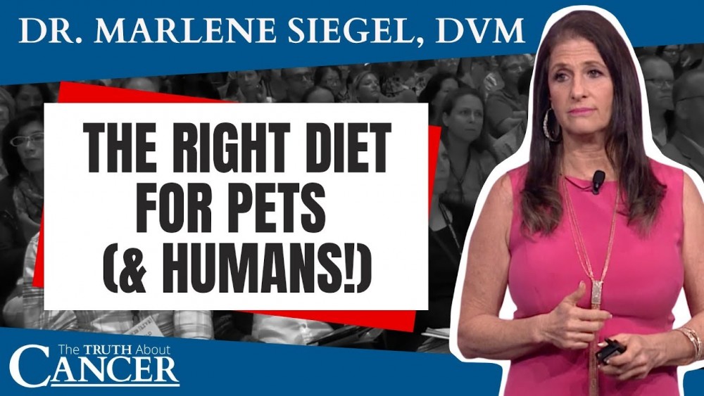 How the Right Diet Leads to a Better Life For Pets (& Humans!) - video