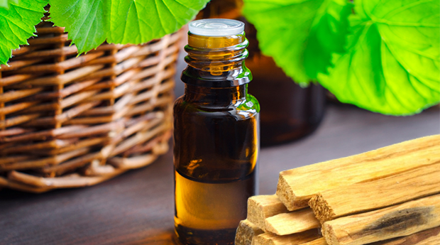 Healing with Palo Santo Essential Oil