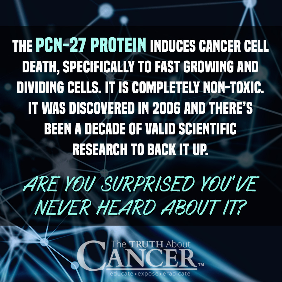 Have you ever heard of the PCN-27 Protein? Is PNC-27 Better Than Radiation & Chemo? Click on the image to discover more...
