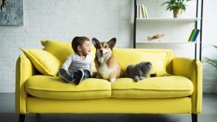 7 Natural Tips for Healthier Pets