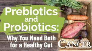 Prebiotics and Probiotics: Why You Need Both for a Healthy Gut