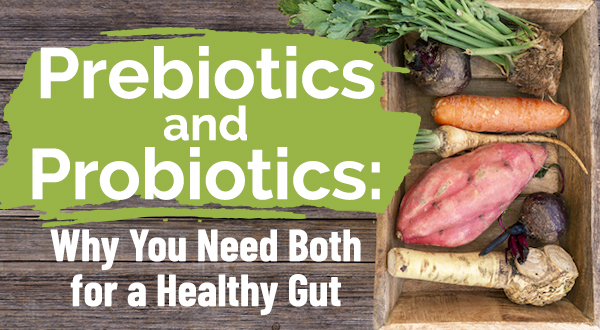 prebiotics and probiotics for a healthy gut