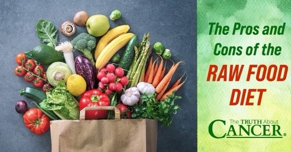 The Pros and Cons of the Raw Food Diet