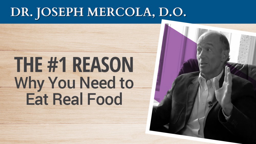 The #1 Reason Why You Need to Eat Real Food (video)
