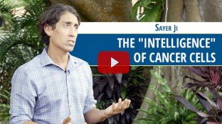 The "Intelligence" of Cancer Cells (video)