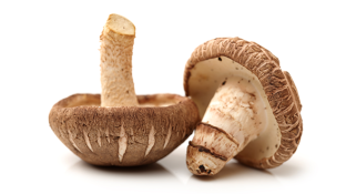 Shiitake Mushroom: Gourmet Ingredient or Medicinal Powerhouse?