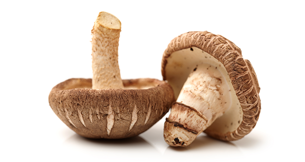 shiitake-mushroom-anti-cancer-benefits
