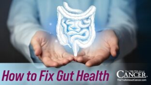 How to Fix Gut Health