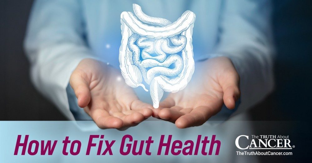 How to Fix Gut Health