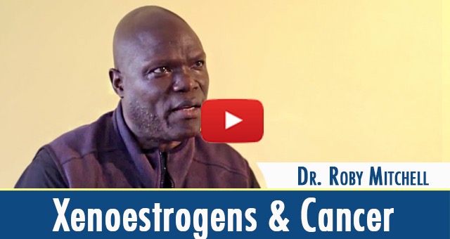 The Link Between Xenoestrogens and Cancer (video)