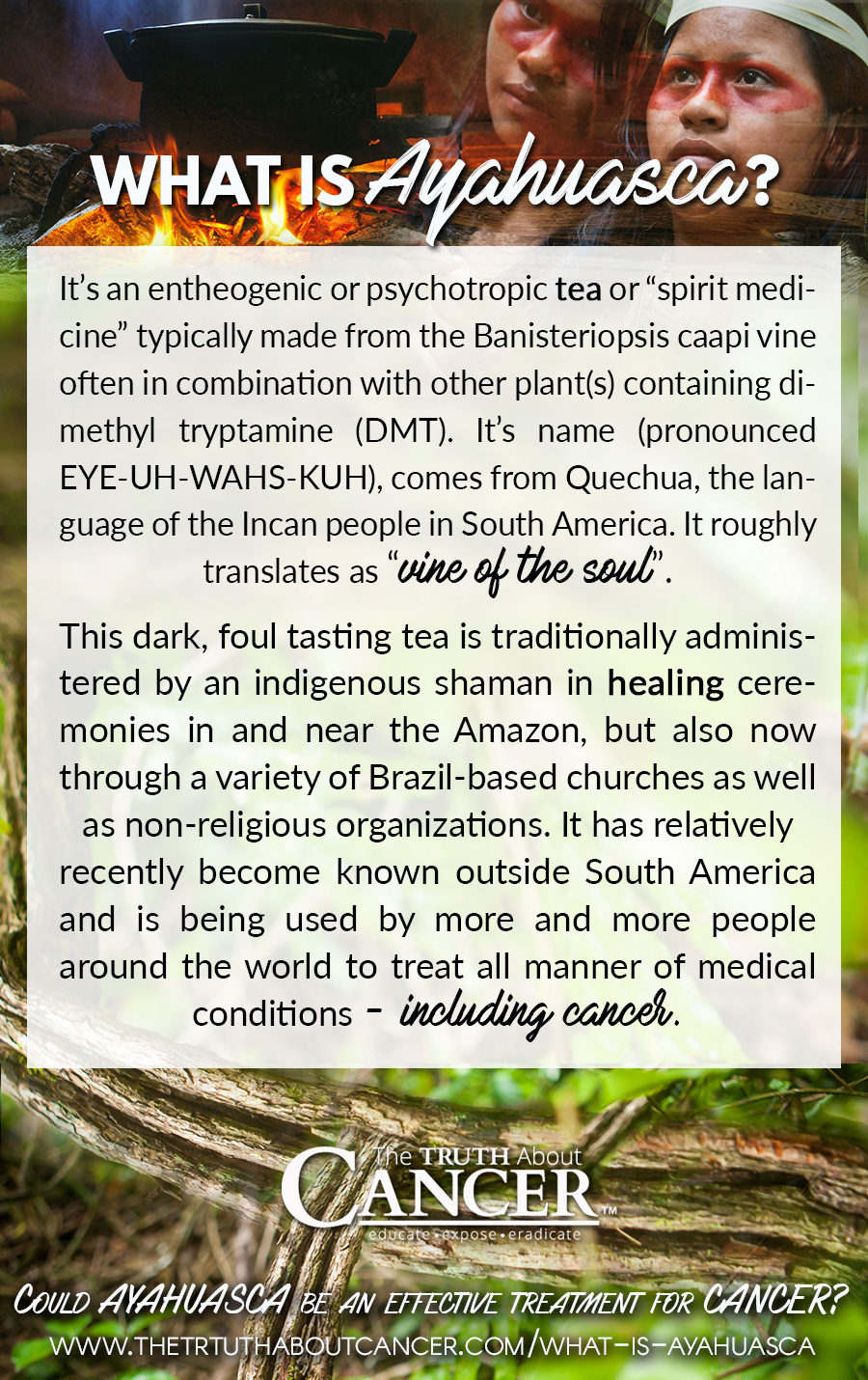 It’s an entheogenic or psychotropic tea or “spirit medicine” typically made from the Banisteriopsis caapi vine often in combination with other plant(s) containing