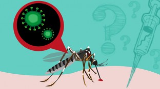 The Truth About the Zika Virus Health Scare (Part 1 of 2)