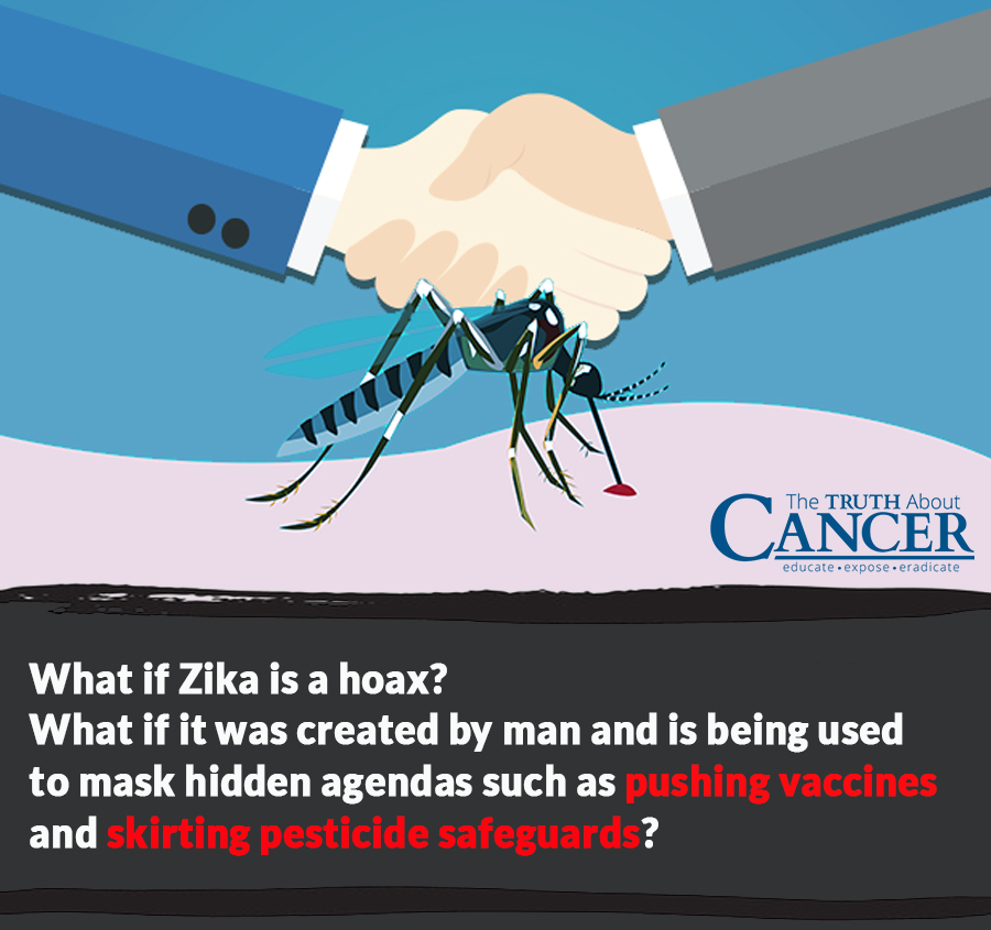 zika-part1-health-scare-question-2